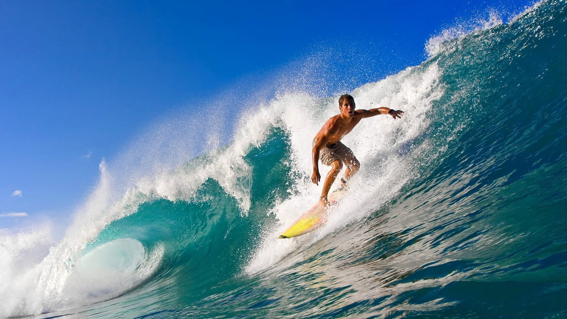 张本智和手感滚烫，带领利雅得新月惊险密尔沃基雄鹿，赛后一句话霸气侧漏